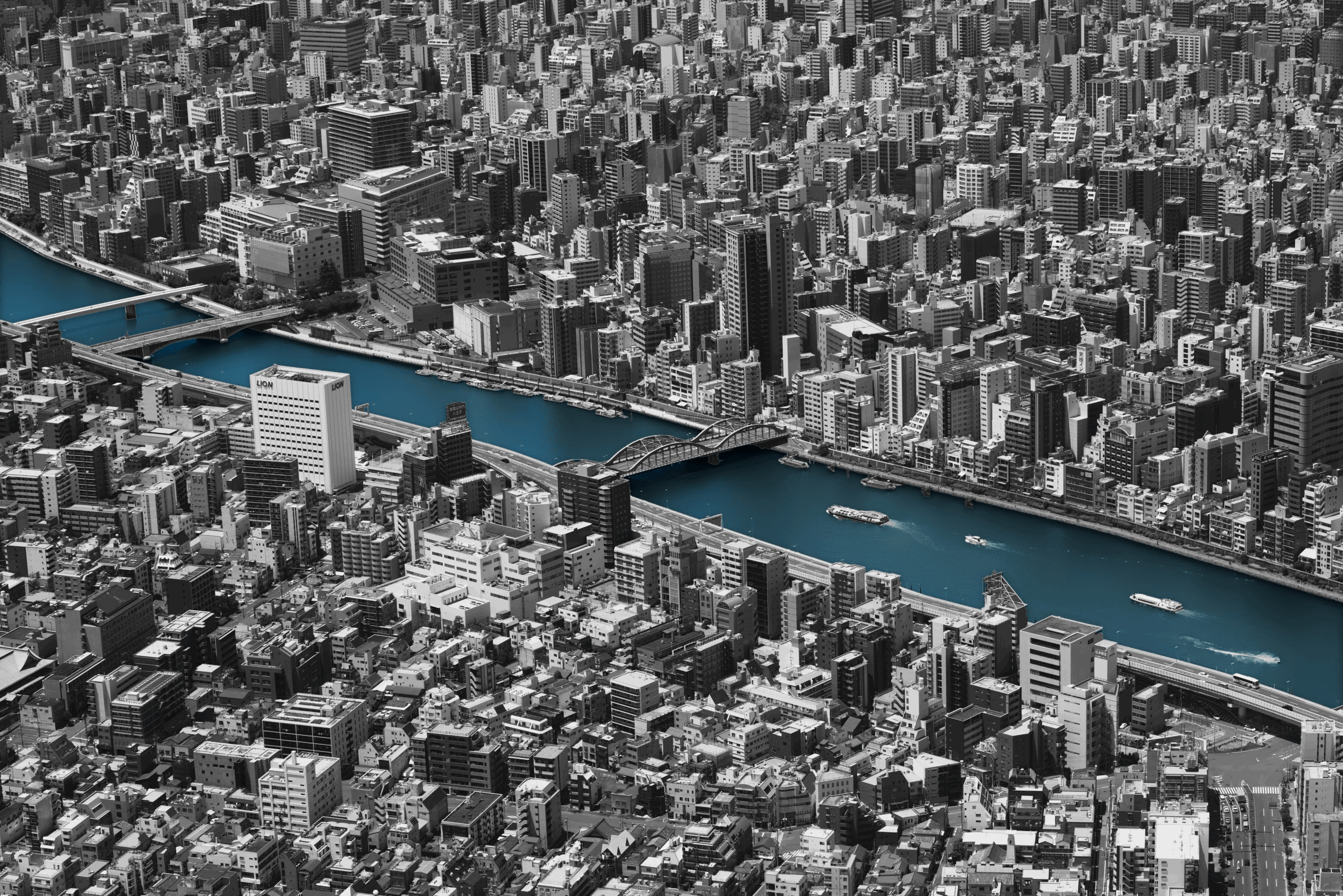Bridging the Gap, 2023